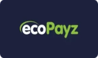 Betaalmethode ecoPayz bij DudeSpin