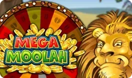 Mega Moolah — gokkast bij DudeSpin