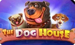 The Dog House — gokkast bij DudeSpin